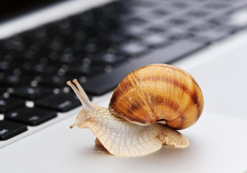 民生银行合肥分行赋能中小微外贸企业&ldquo;出海远航&rdquo;